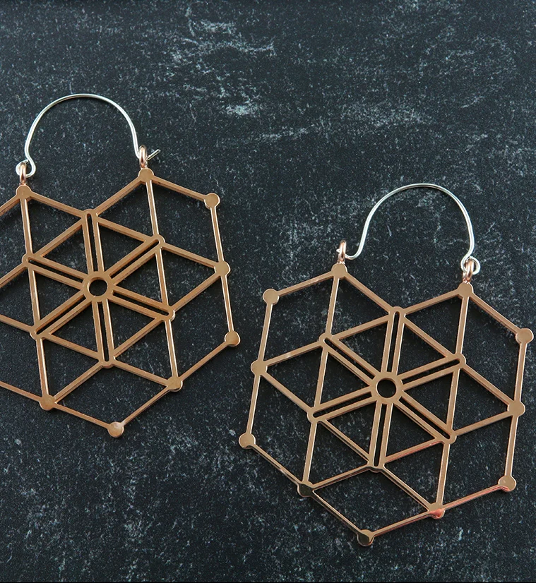 20G Rose Gold Gaze Hangers - Earrings - Image 2