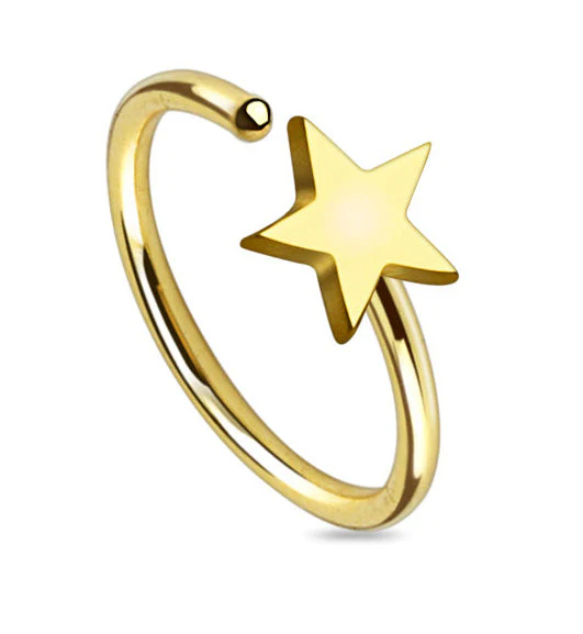 20G Star Gold PVD Steel Nose Ring Hoop - Image 2