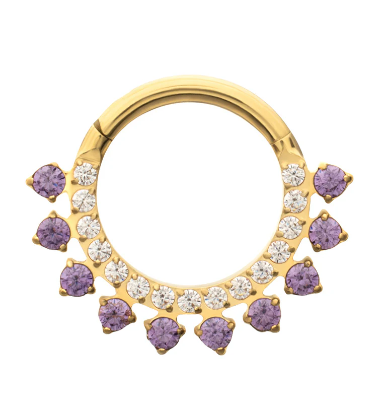 24kt Gold PVD Stonepath Amethyst CZ Titanium Hinged Segment Ring