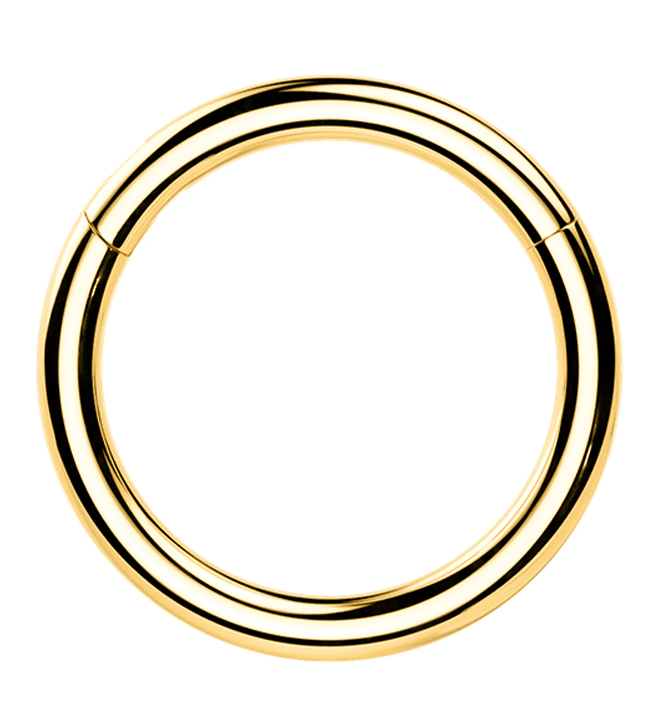 24kt Gold PVD Titanium Hinged Segment Ring