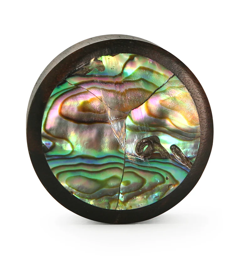 Abalone Shell Inlay Wood Plugs - Image 4