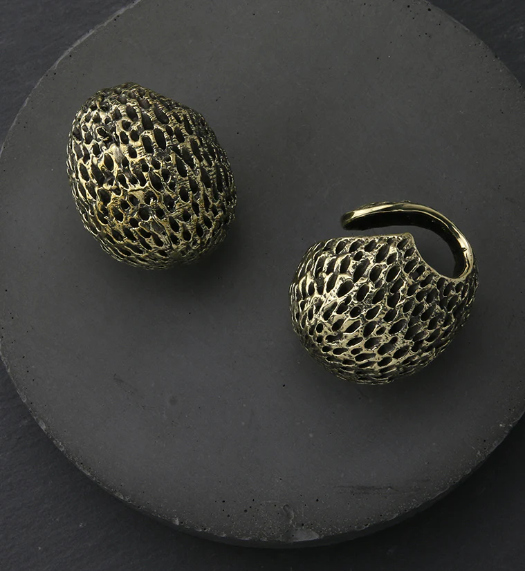 Achene Brass Ear Weights - Image 2