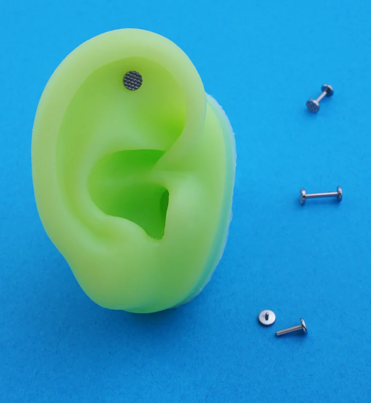 Beaded Disk Internally Threaded Titanium Labret - Image 2
