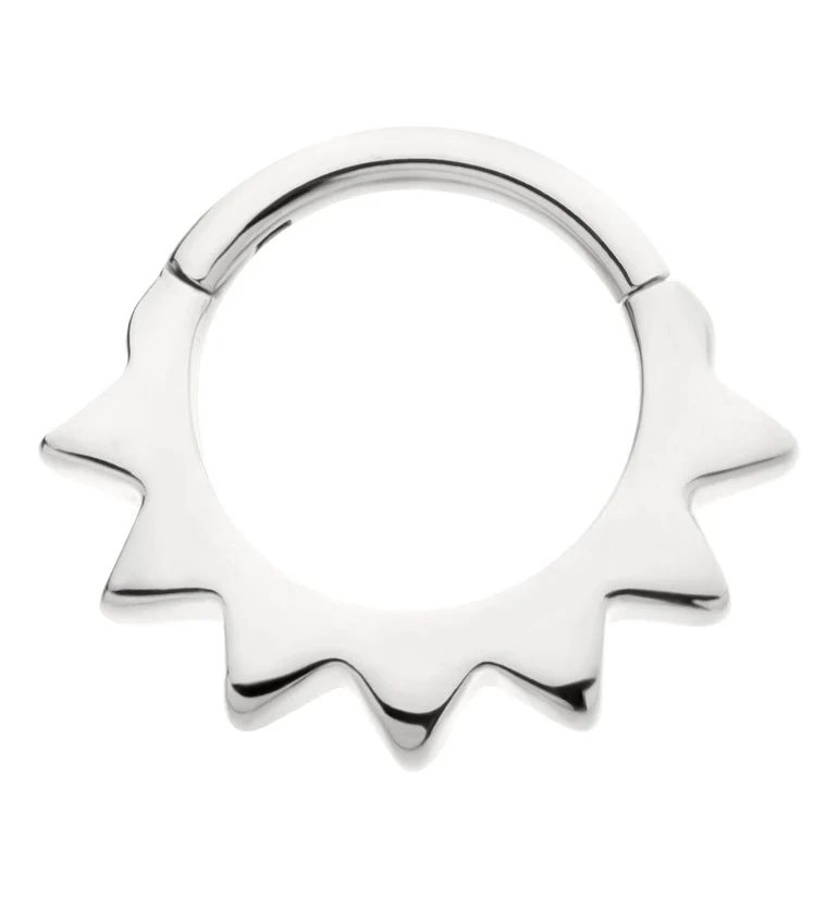 Beam Stainless Steel Hinged Segment Ring