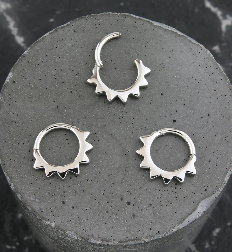 Beam Stainless Steel Hinged Segment Ring - Image 2