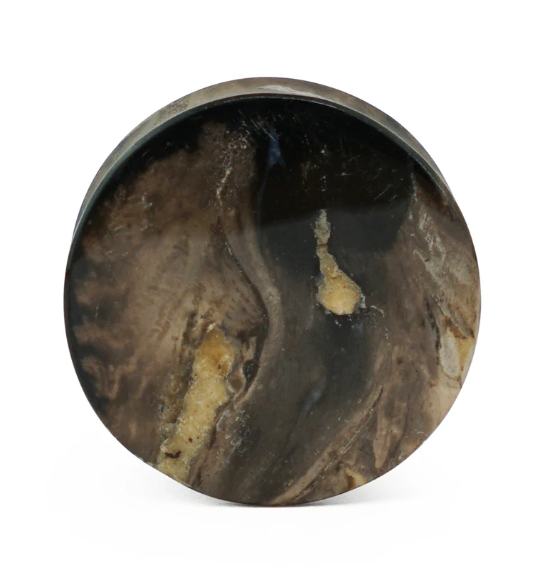 Black Flame Petrified Palm Root Plugs - Image 8