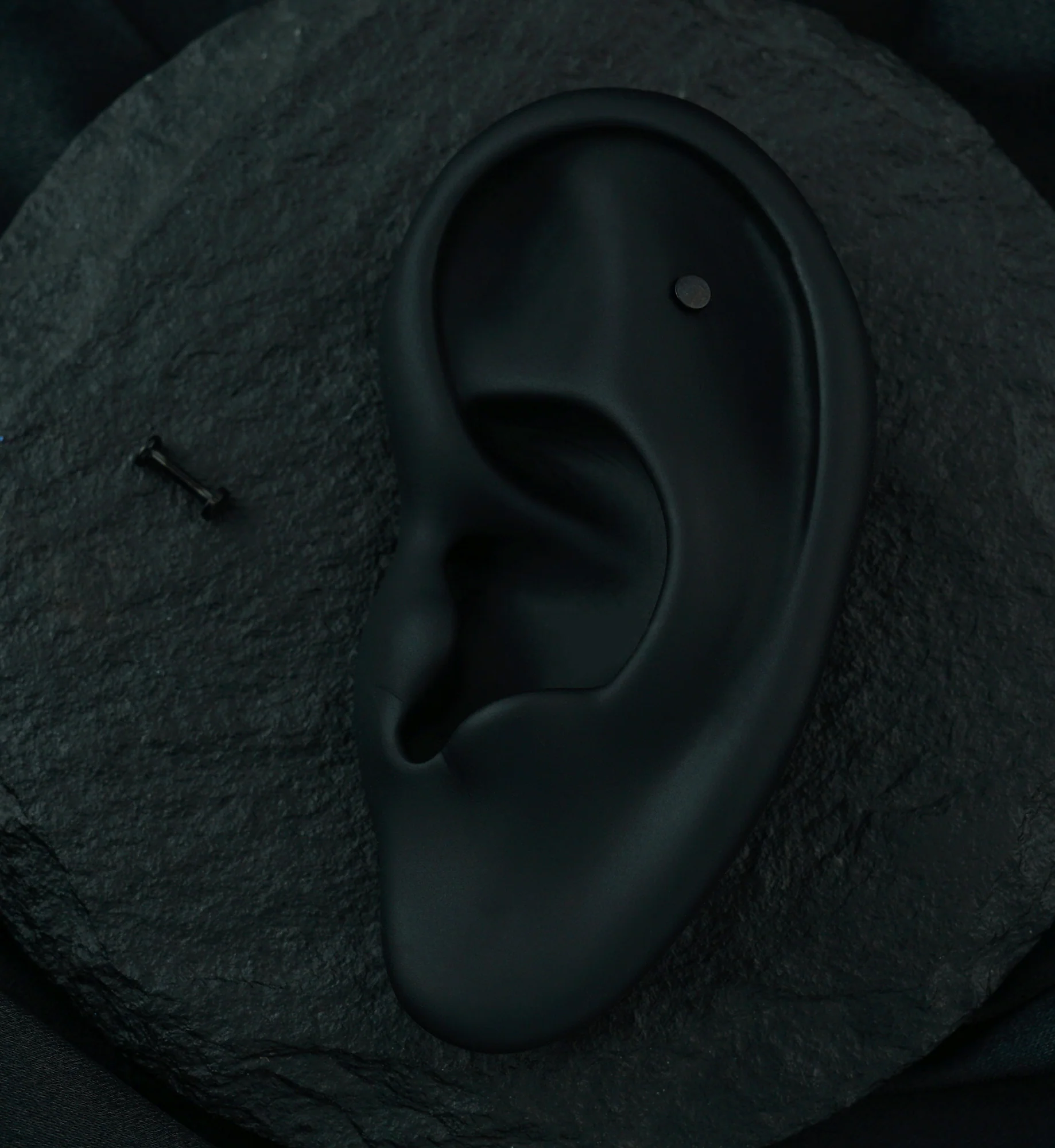 Black PVD Flat Disk Internally Threaded Titanium Labret - Image 2