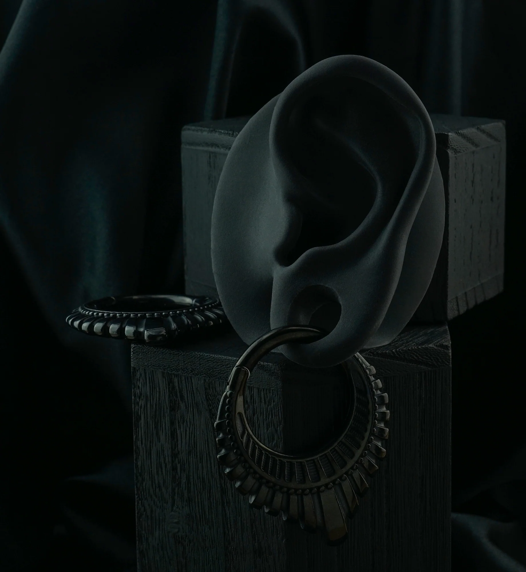 Black PVD Heraldry Stainless Steel Hinged Ear Weights - Image 2