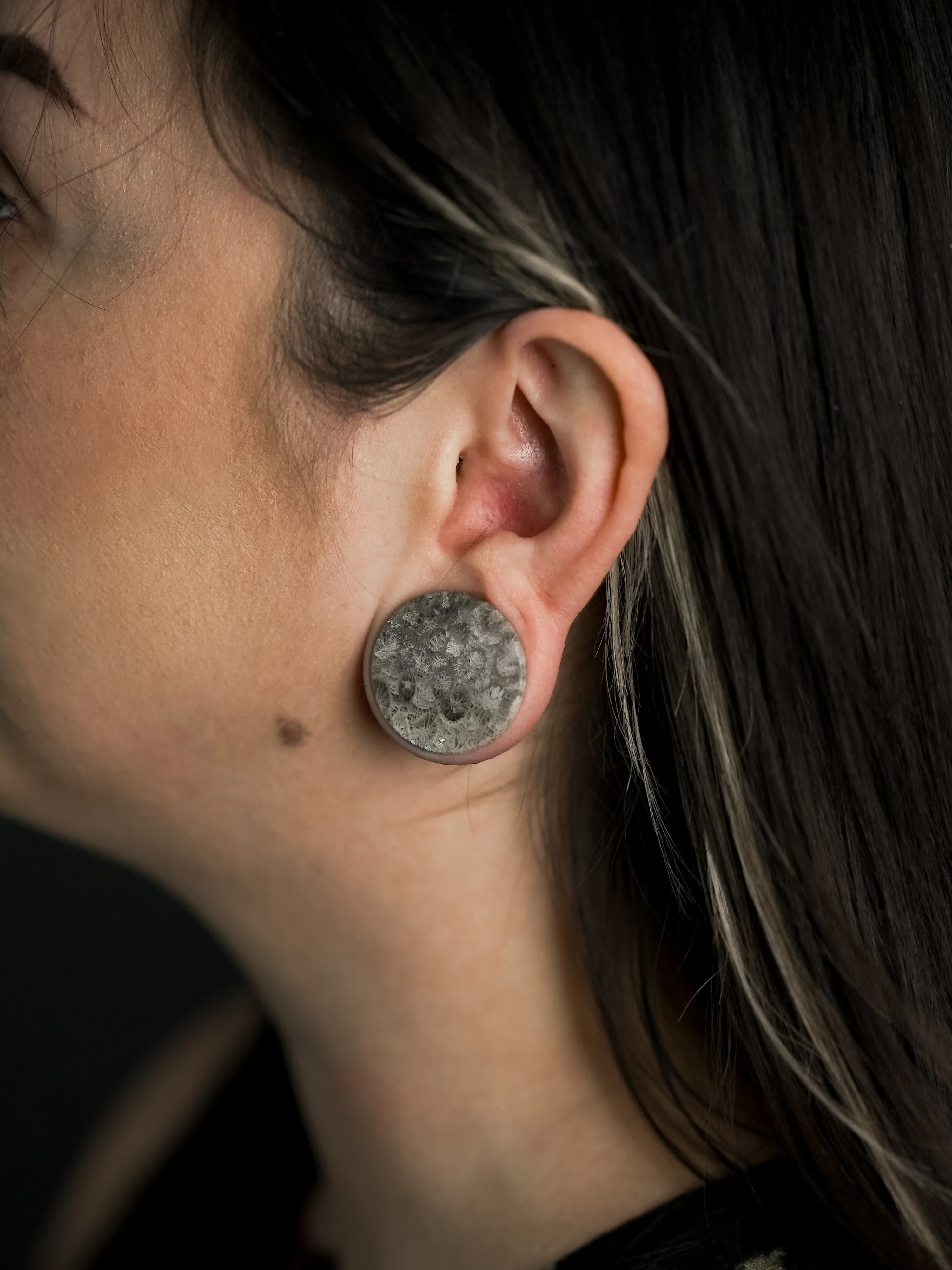 Blue Fossilized Coral Stone Plugs - Image 6