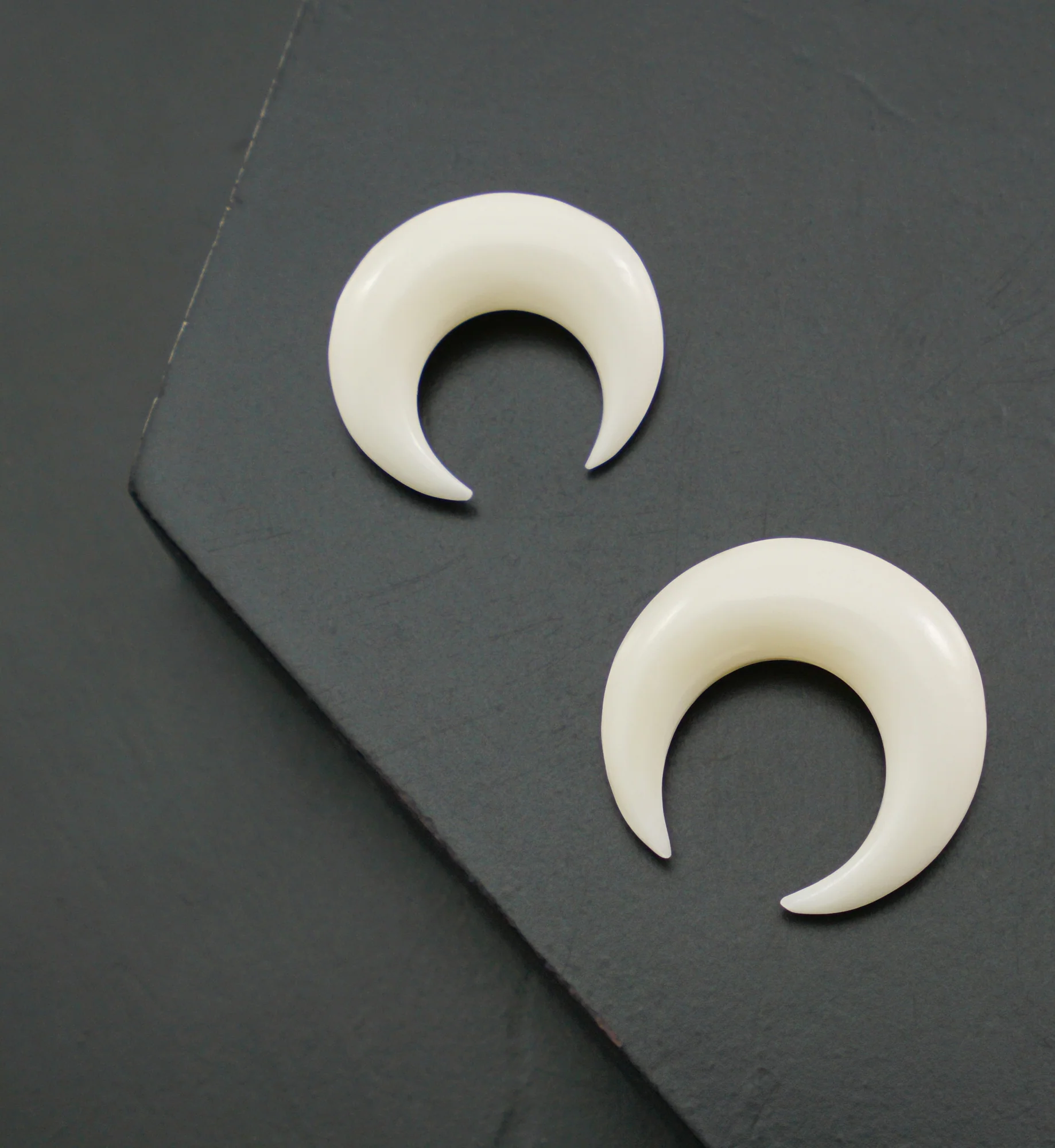 Bone Septum Pincher - Image 4