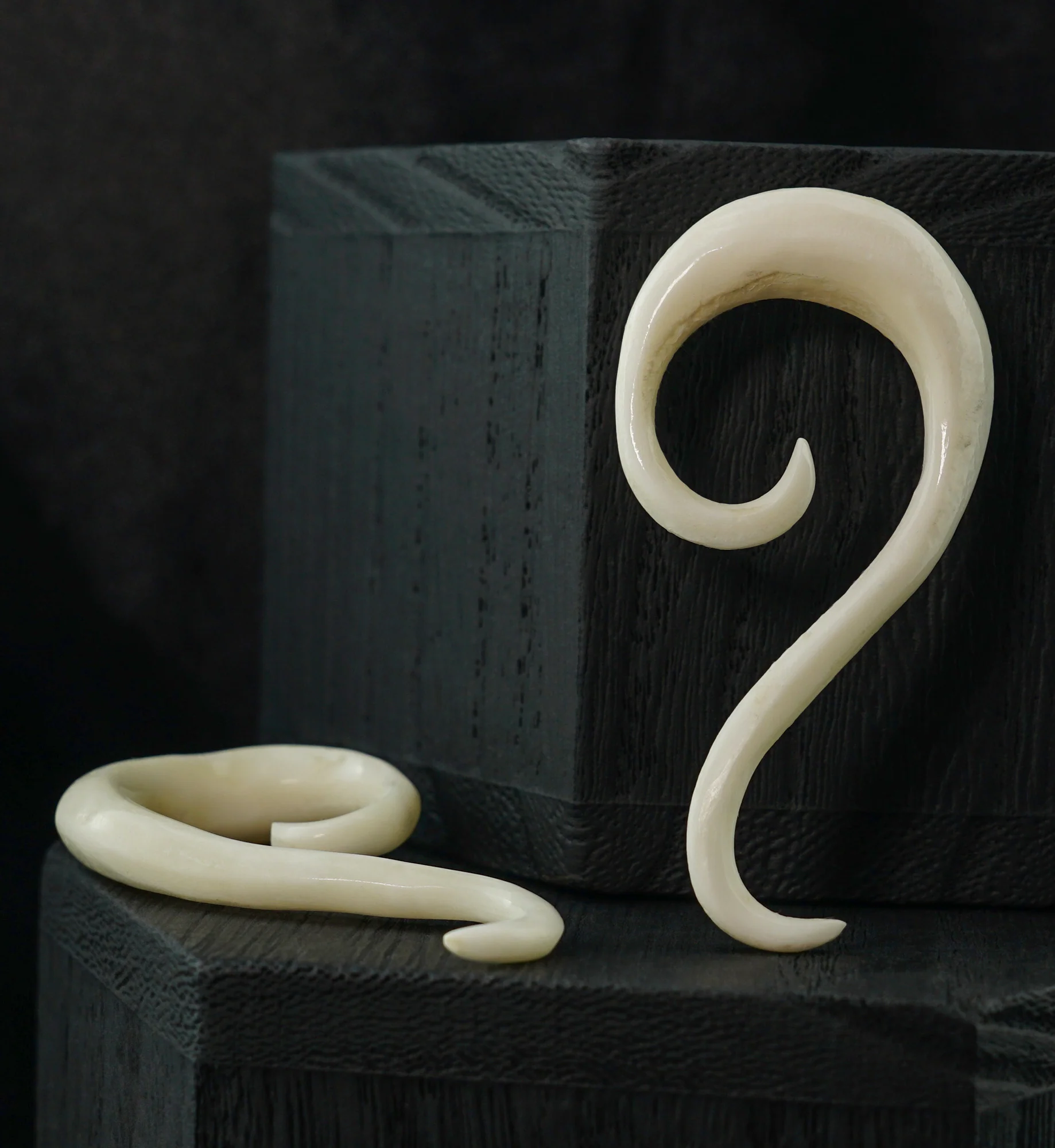 Bone Tail Spirals - Image 2