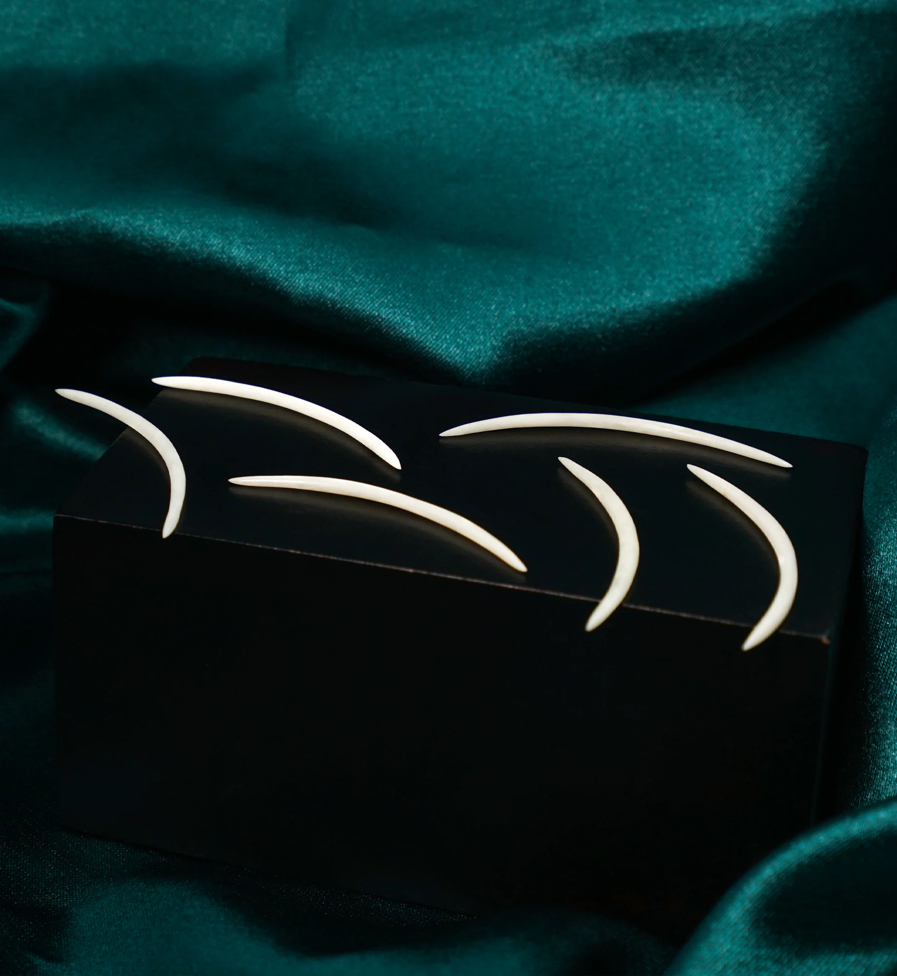 Buffalo Bone Septum Tusk - Image 2