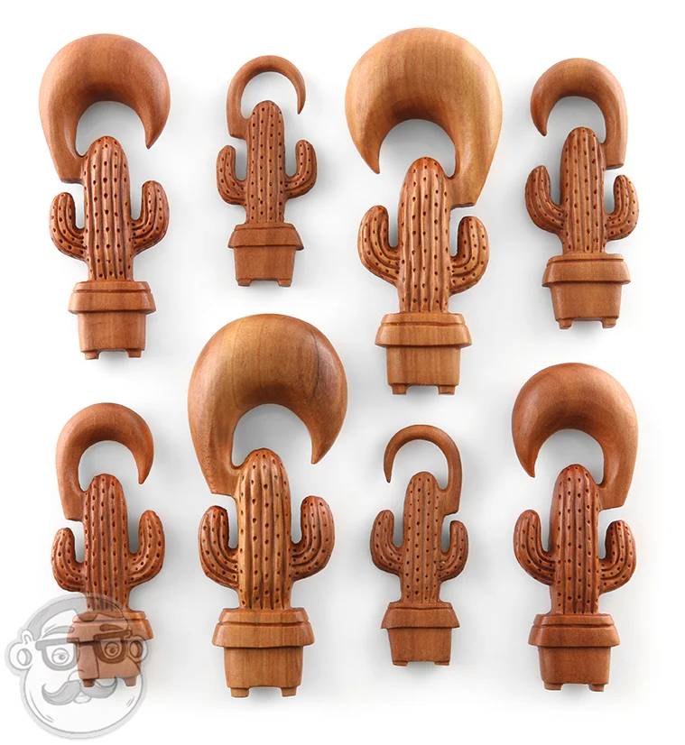 Cactus Planter Wooden Spiral Hangers - Image 3
