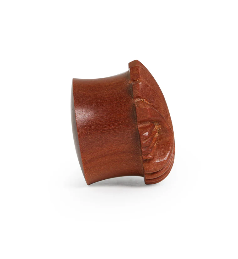 Carved Sea Shell Wood Plugs - Image 4