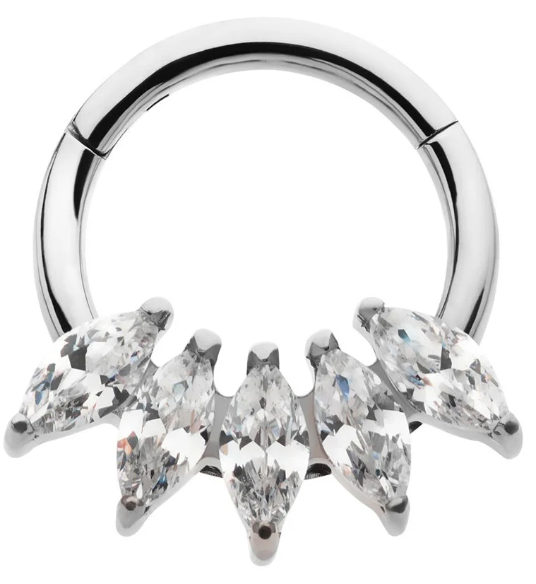 Cinque CZ Titanium Hinged Segment Ring