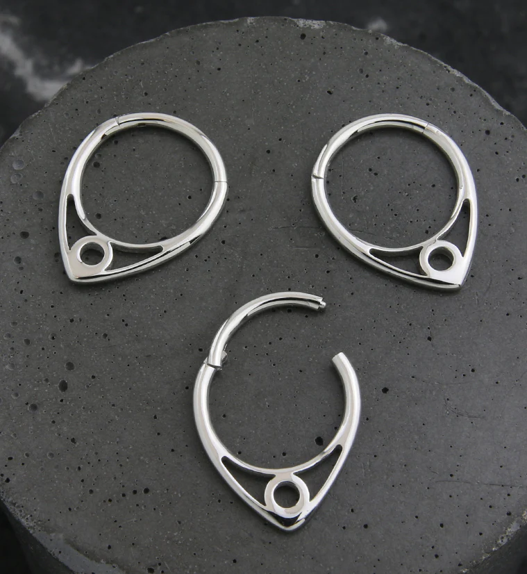 Circle Point Stainless Steel Hinged Segment Ring - Image 2