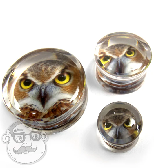 Clear Owl Plugs - Image 2