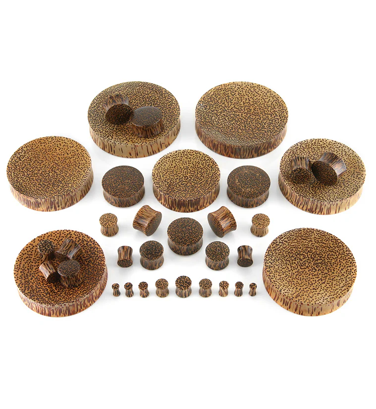 Coconut Wood Plugs - Image 2