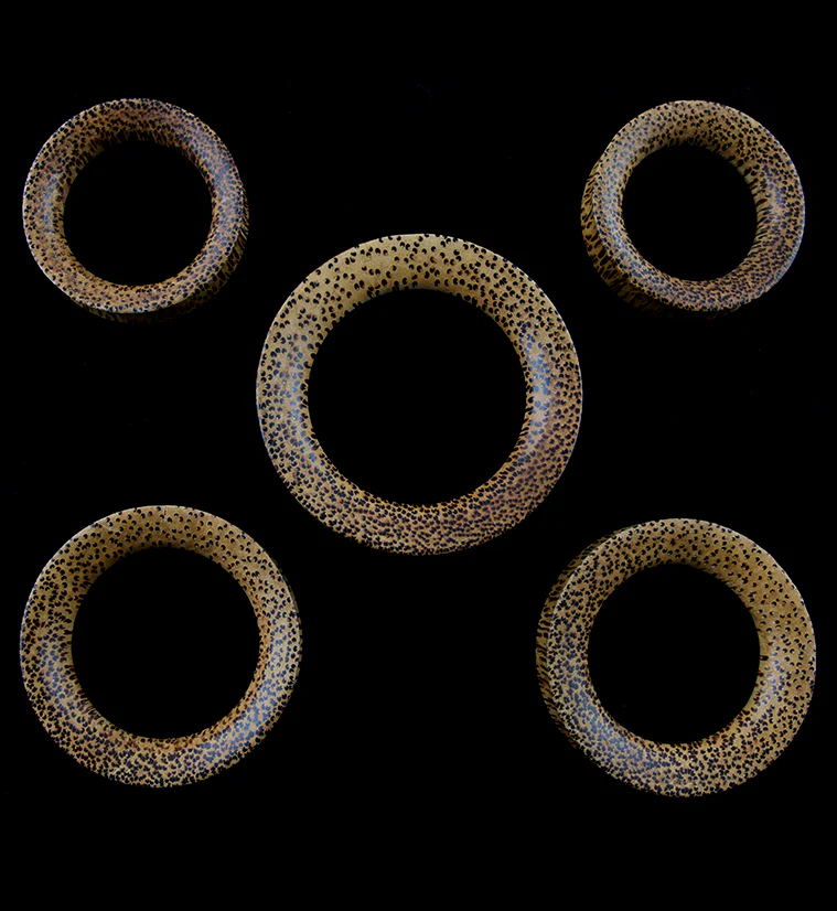 Coconut Wooden Concave Tunnels - Image 3