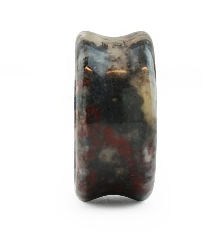 Concave Bloodstone Plugs - Image 5
