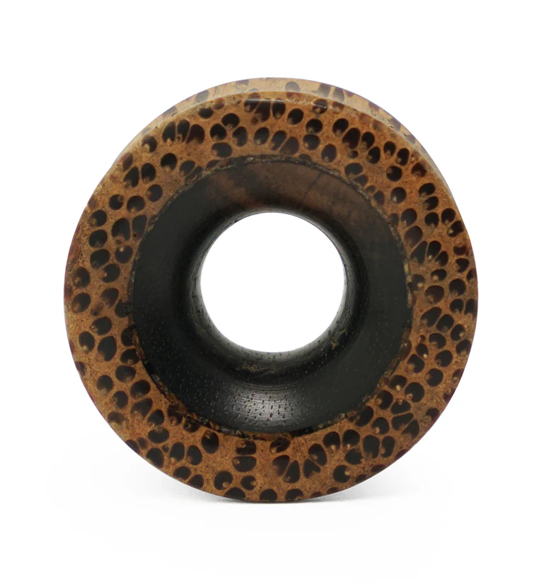 Concave Coconut Wood Tunnels With Areng Wood Inlay - Image 3