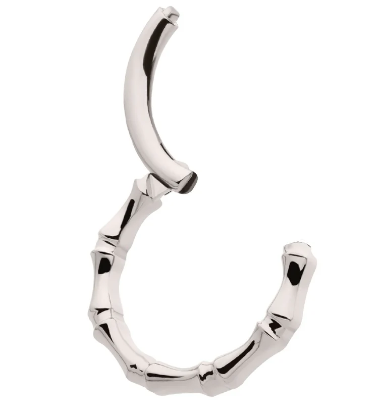 Copula Titanium Hinged Segment Ring - Image 3