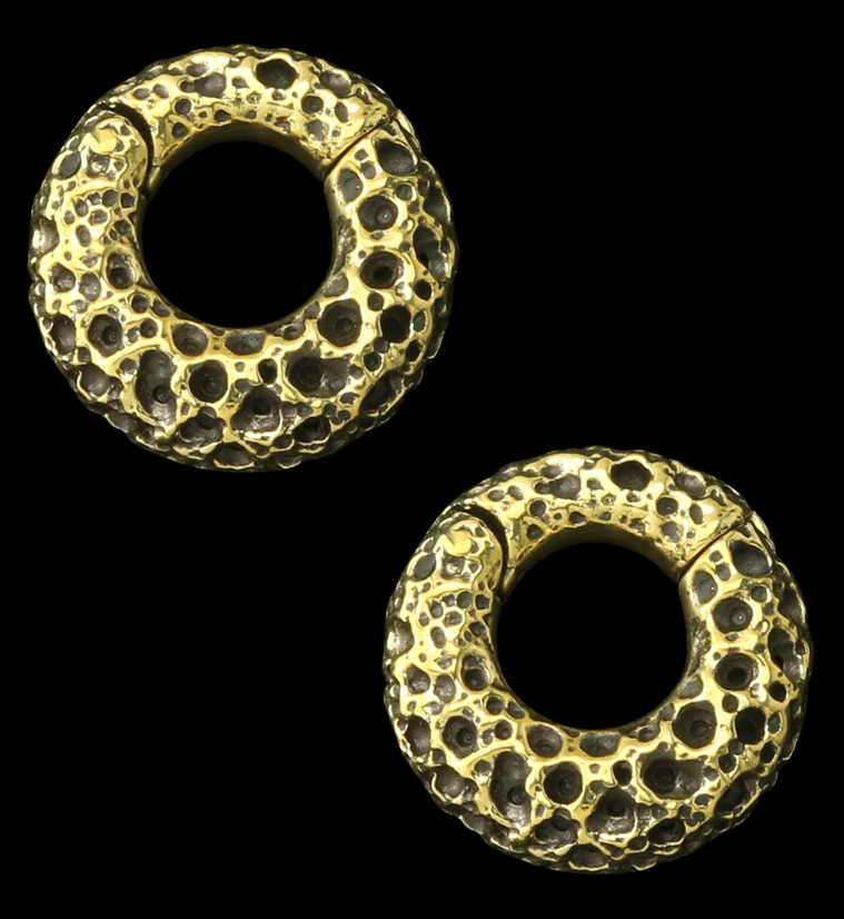 Coral Sponge Brass Hinged Ear Weights