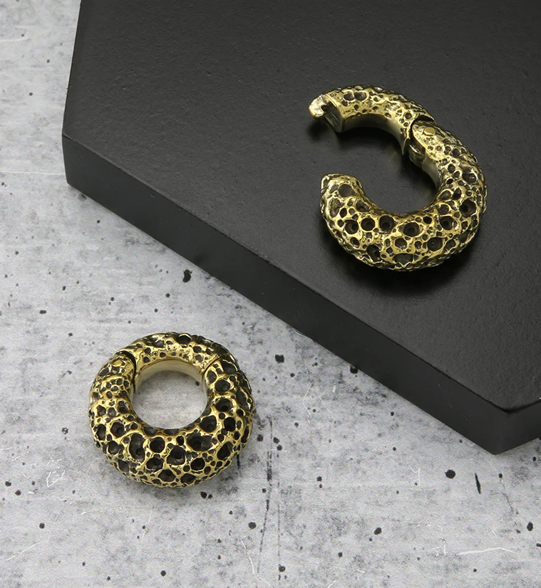 Coral Sponge Brass Hinged Ear Weights - Image 2