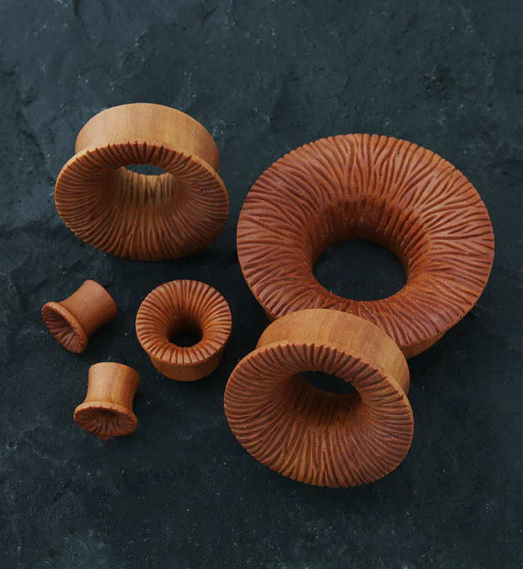 Score Saba Wood Mayan Flare Tunnel Plugs - Image 2