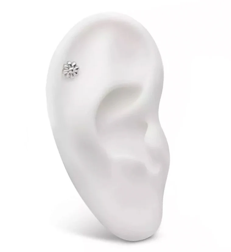 Daisy Titanium Internally Threaded Top - Image 3