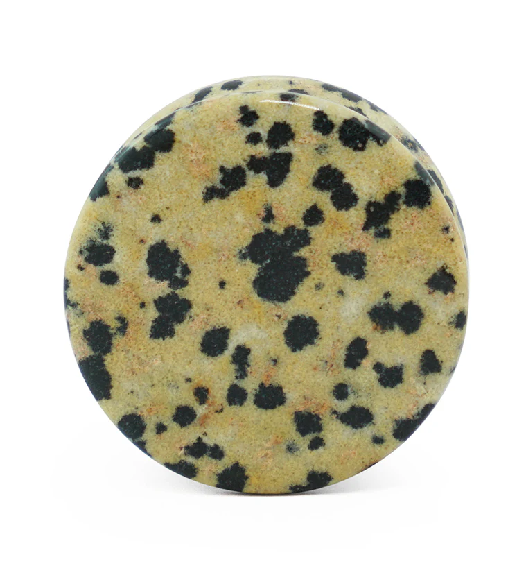 Dalmatian Jasper Stone Plugs - Image 4