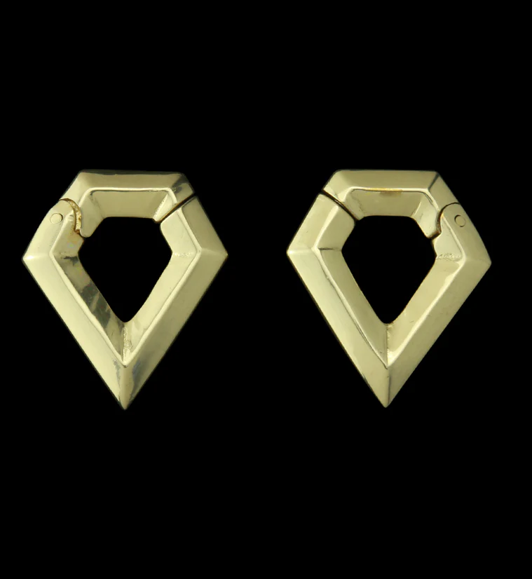 Dash Hinged Ear Weights