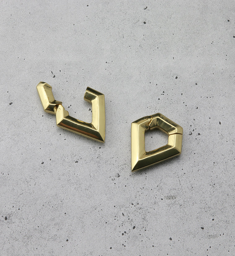 Dash Hinged Ear Weights - Image 2