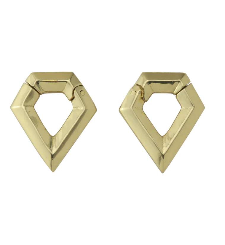 Dash Hinged Ear Weights - Image 3