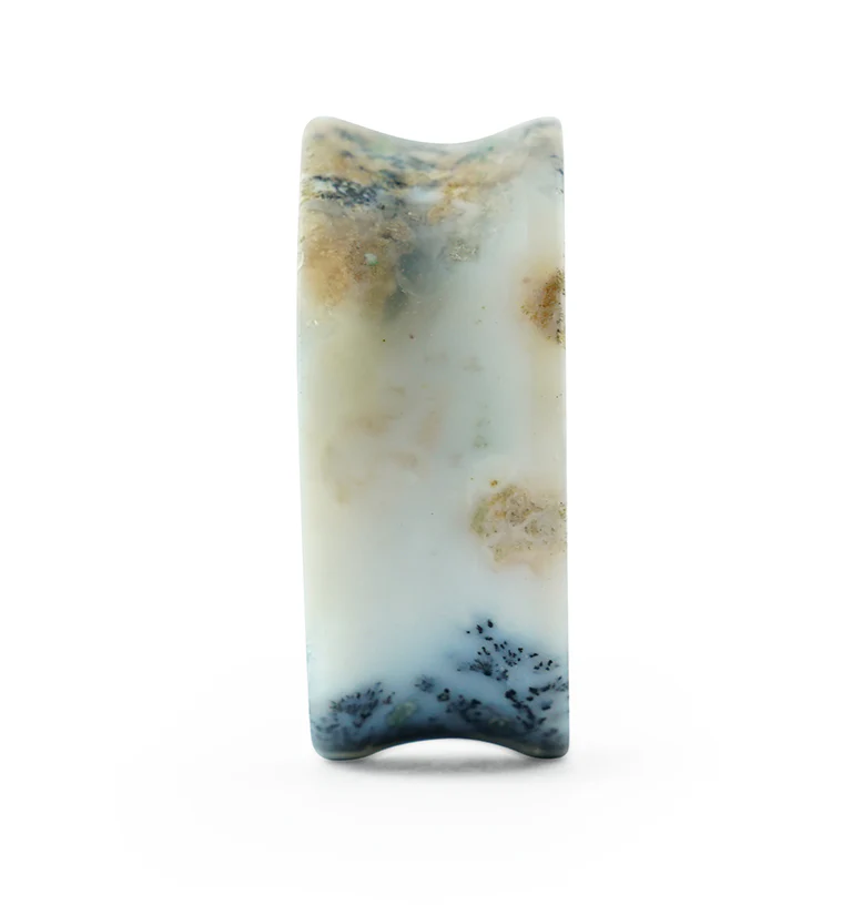 Dendrite Agate Stone Plugs - Image 6