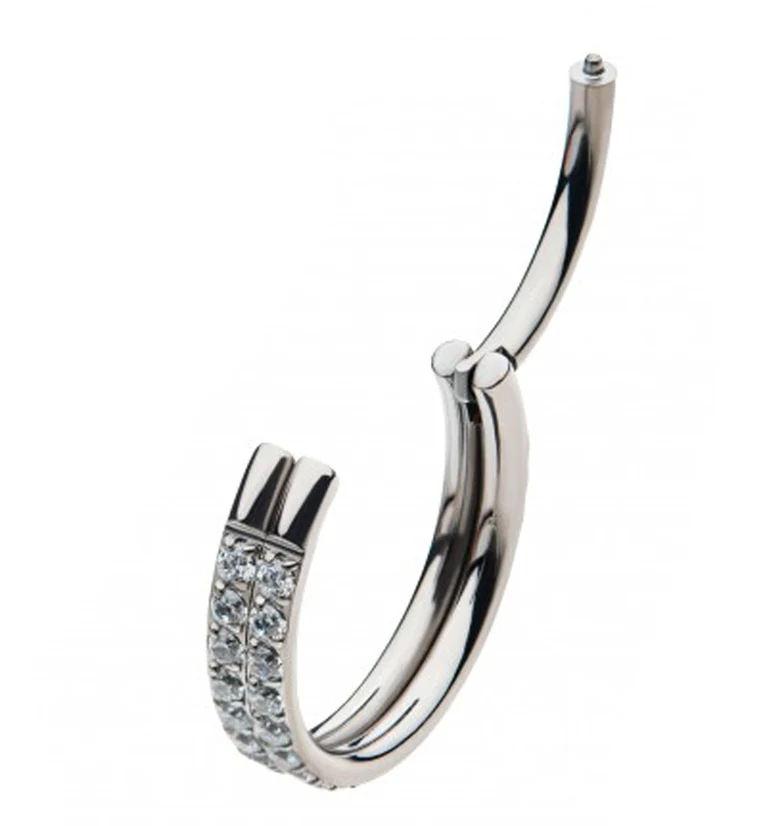 Titanium Double Row CZ Side Face Hinged Segment Ring - Image 2
