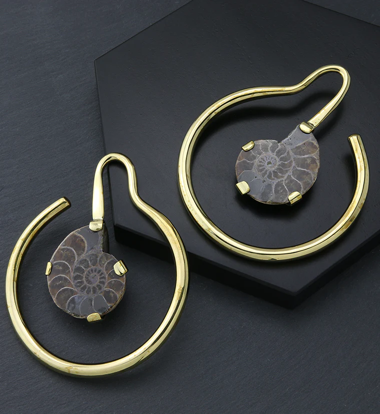 Drop Ammonite Fossil Ear Weights - Image 2