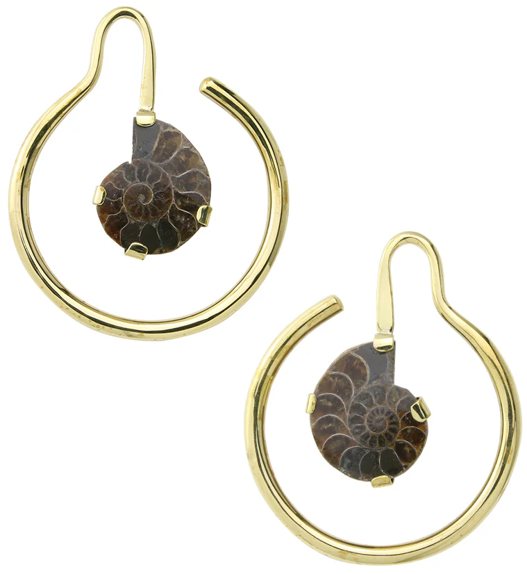 Drop Ammonite Fossil Ear Weights - Image 3