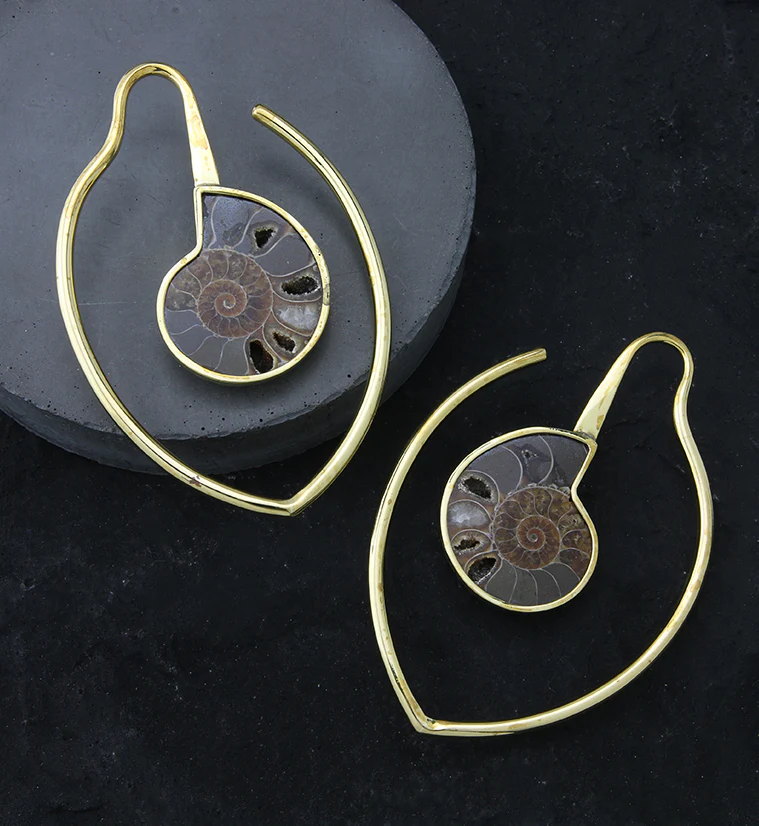 Drop Ammonite Fossil Teardrop Ear Weights - Image 2