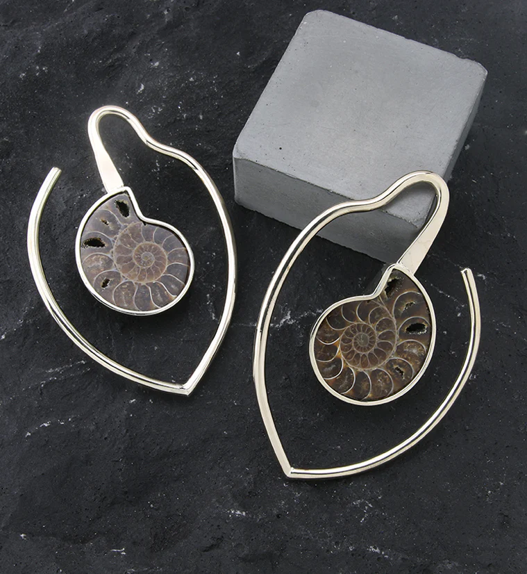 Drop Ammonite Fossil Teardrop Hoop White Brass Ear Weights - Image 2
