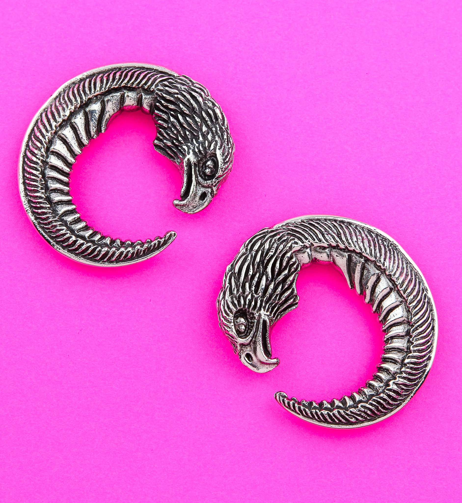Eagle Head Circular White Brass Ear Weights - Image 2