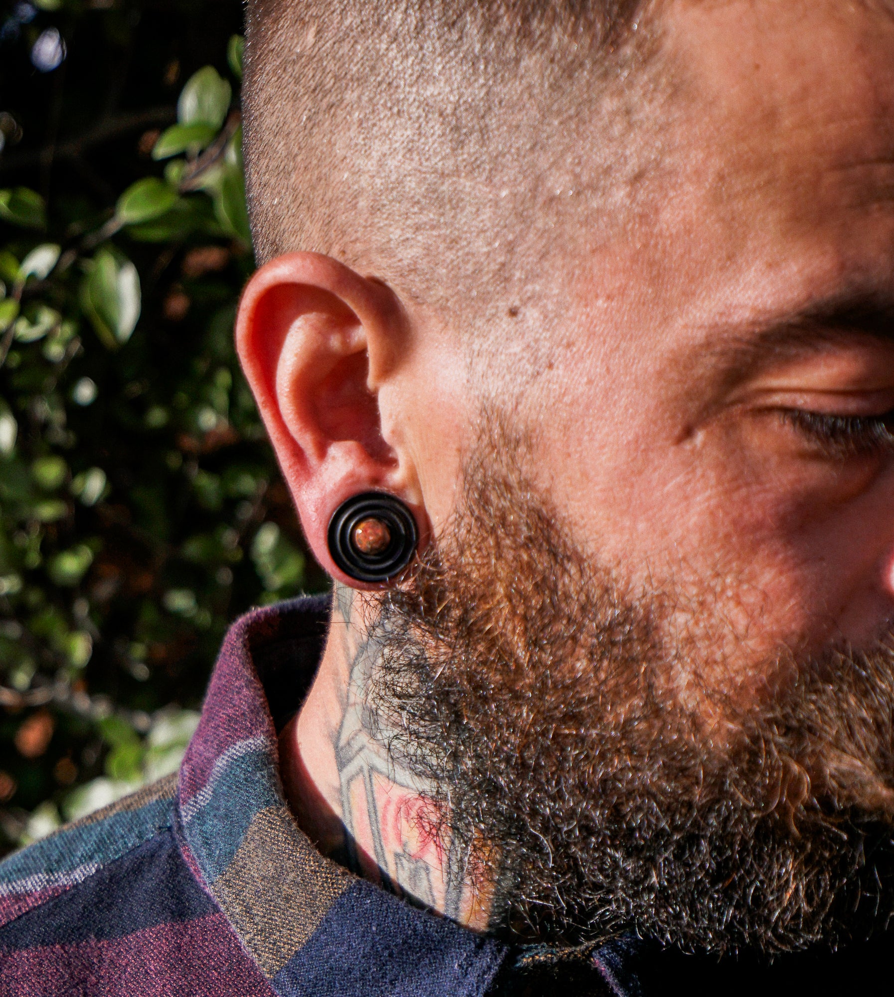 Ecliptic Areng Wood Plugs With Leopard Jasper Stone Inlay - Image 8