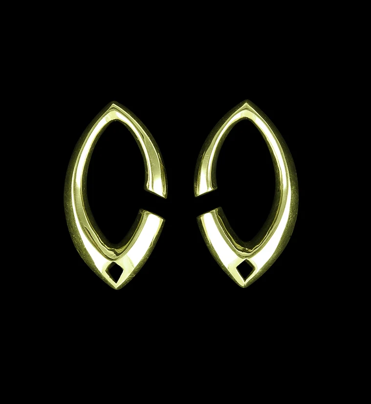 Elliptic Brass Ear Weights