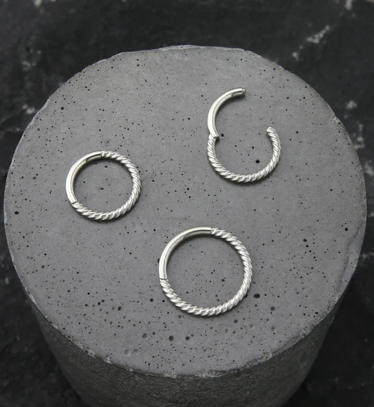 Entwine Stainless Steel Hinged Segment Ring - Image 2