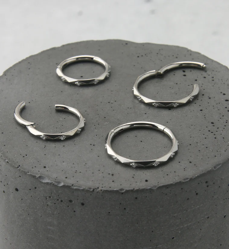 Facet CZ Titanium Hinged Segment Ring - Image 2