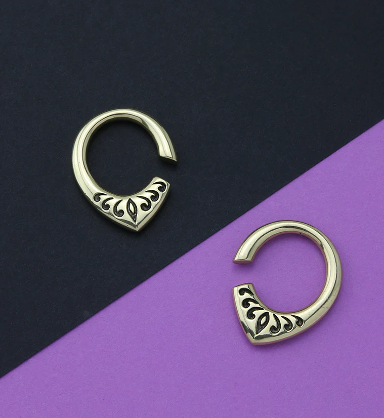 Fleck Brass Ear Weights - Image 2