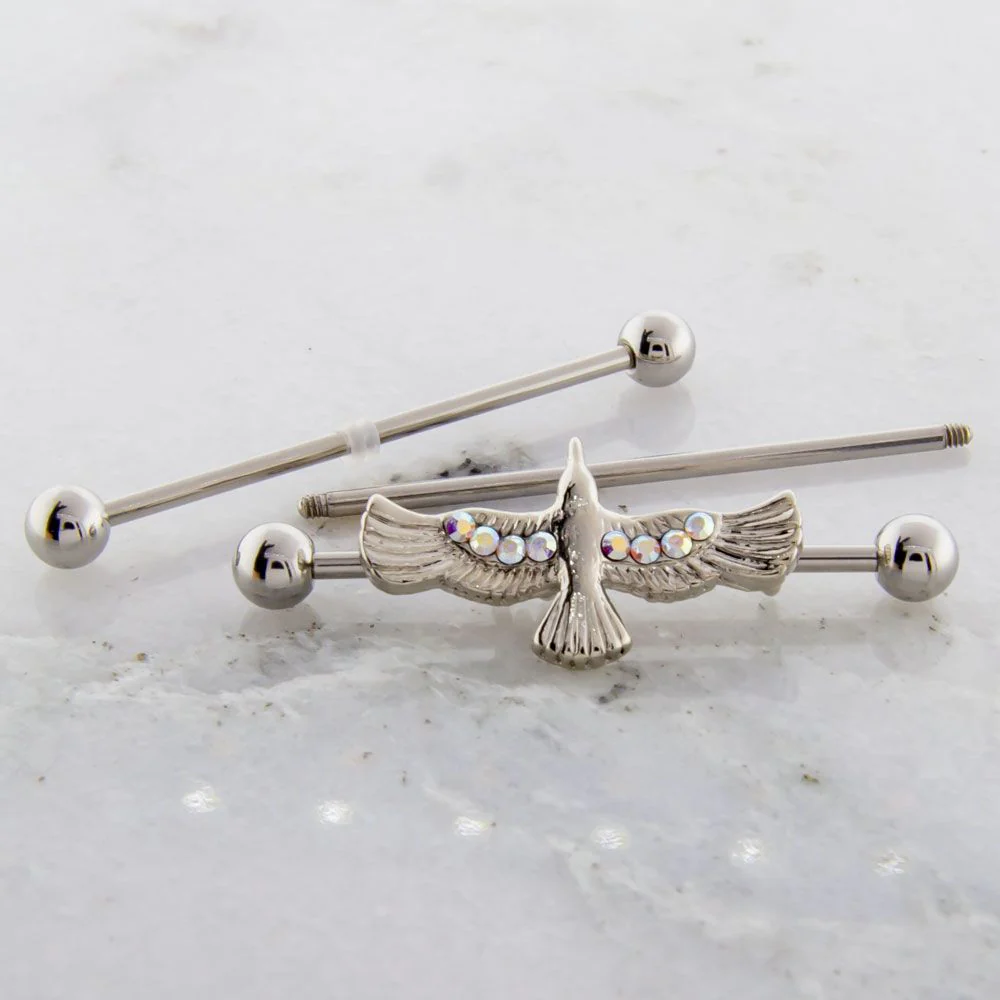 Flying Raven Rainbow Aurora CZ Industrial Barbell - Image 3