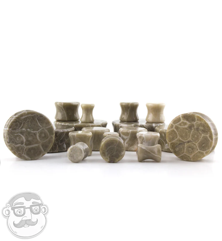 Fossilized Coral Plugs - Image 2