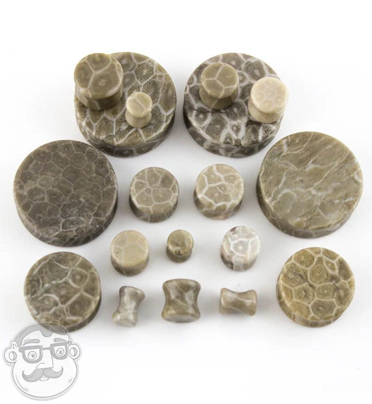 Fossilized Coral Plugs - Image 5