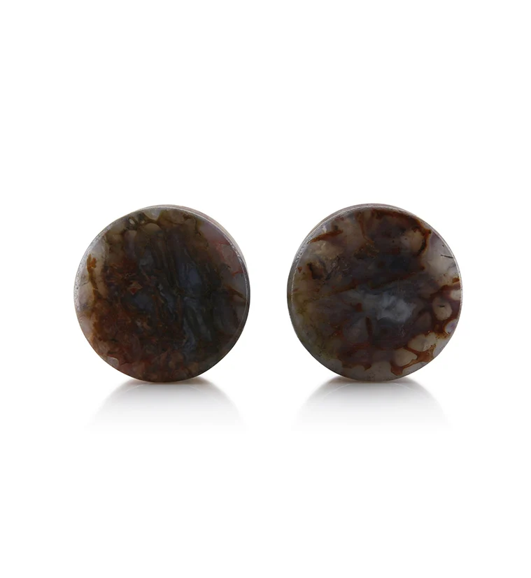 Fossilized Dinosaur Bone Plugs 9/16" (14.7mm) Version 5